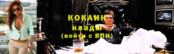соль ск Абаза