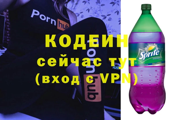 бошки Сатка