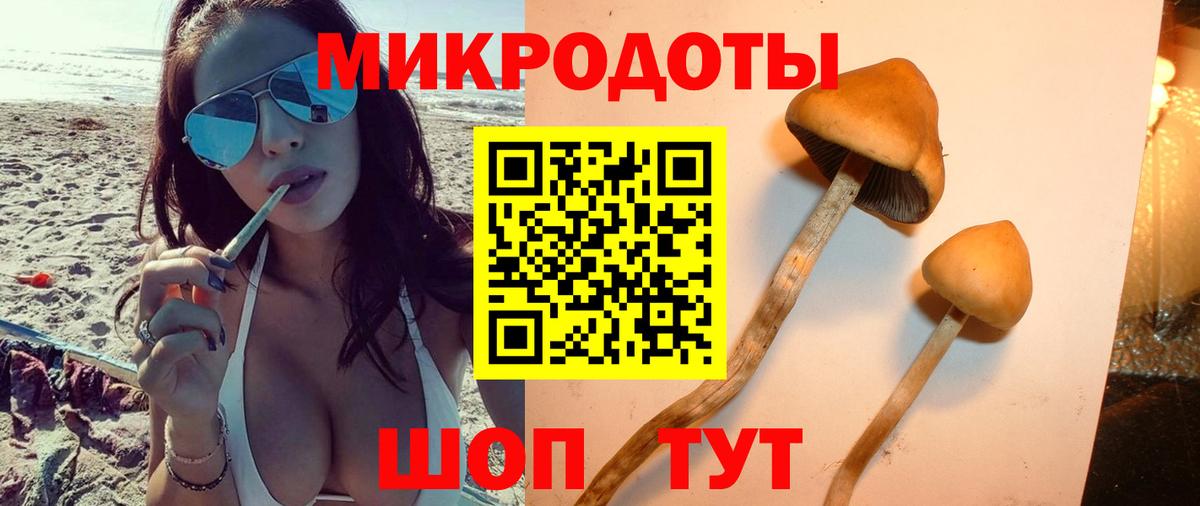Алапаевск  Псилоцибиновые грибы Psilocybe  Вход с VPN 
